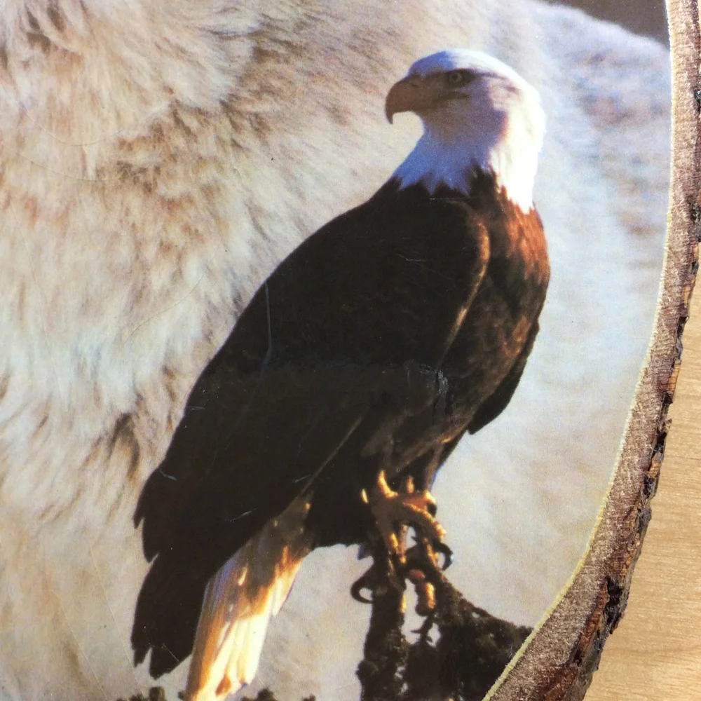 Vintage Wooden Eagle & Wolf Wall Plaque